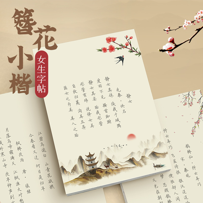 Chinese Calligraphy Practice Book - Cuaderno de caligrafía con diseño de