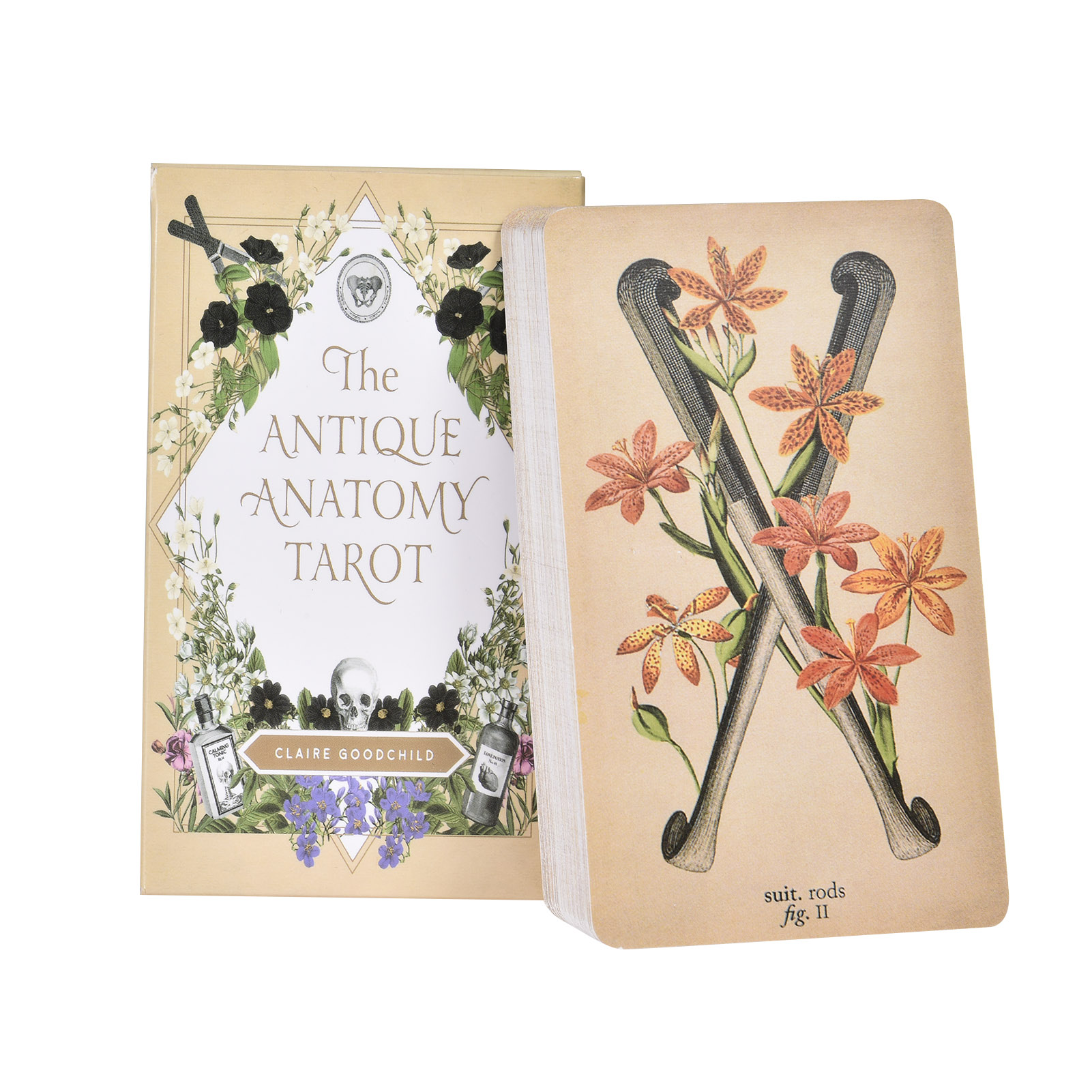 Tarot Deck With Guidebook - Las Cartas del Tarot de Anatomía