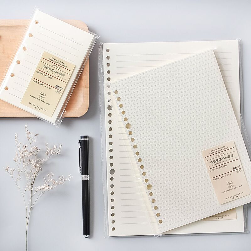 Rejilla de línea A5 B5, 20 agu - A5 Spiral Dotted Grid Notebook reseña y precio