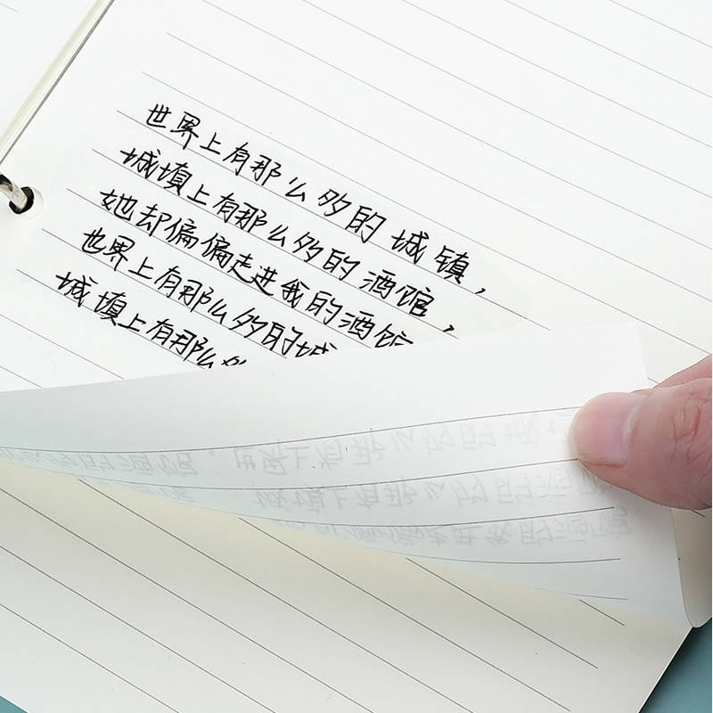 Recambio de Hojas Sueltas A5 A - A5 Spiral Dotted Grid Notebook reseña y precio