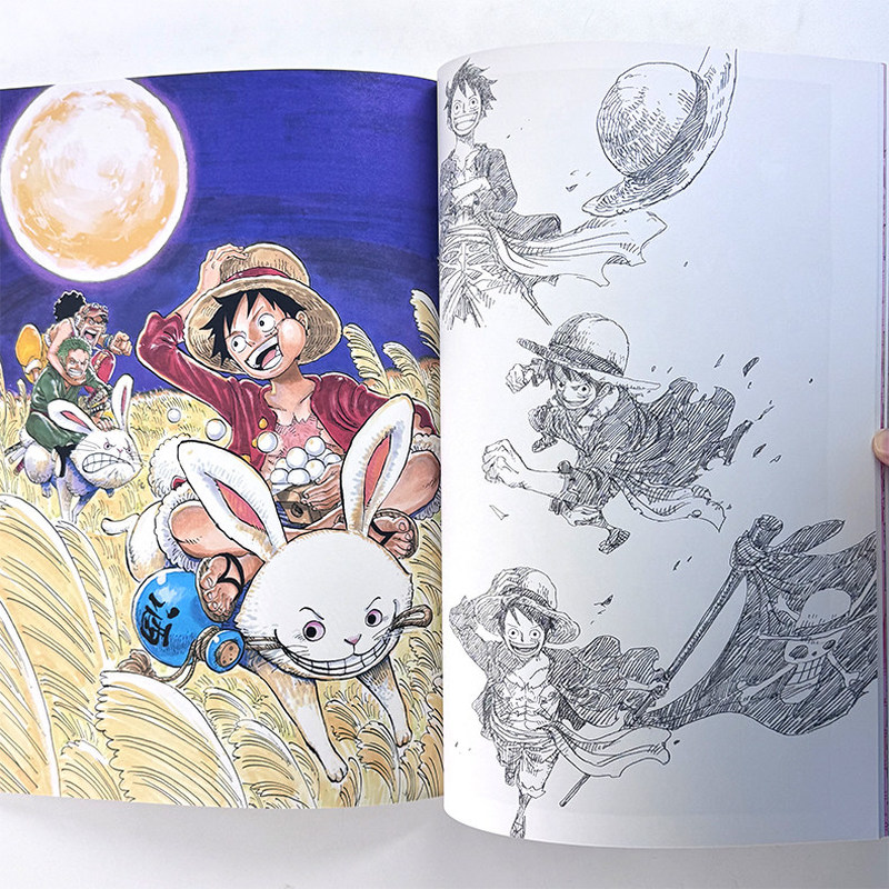 One Piece Illustration Book Co - Stationery Books reseña y precio