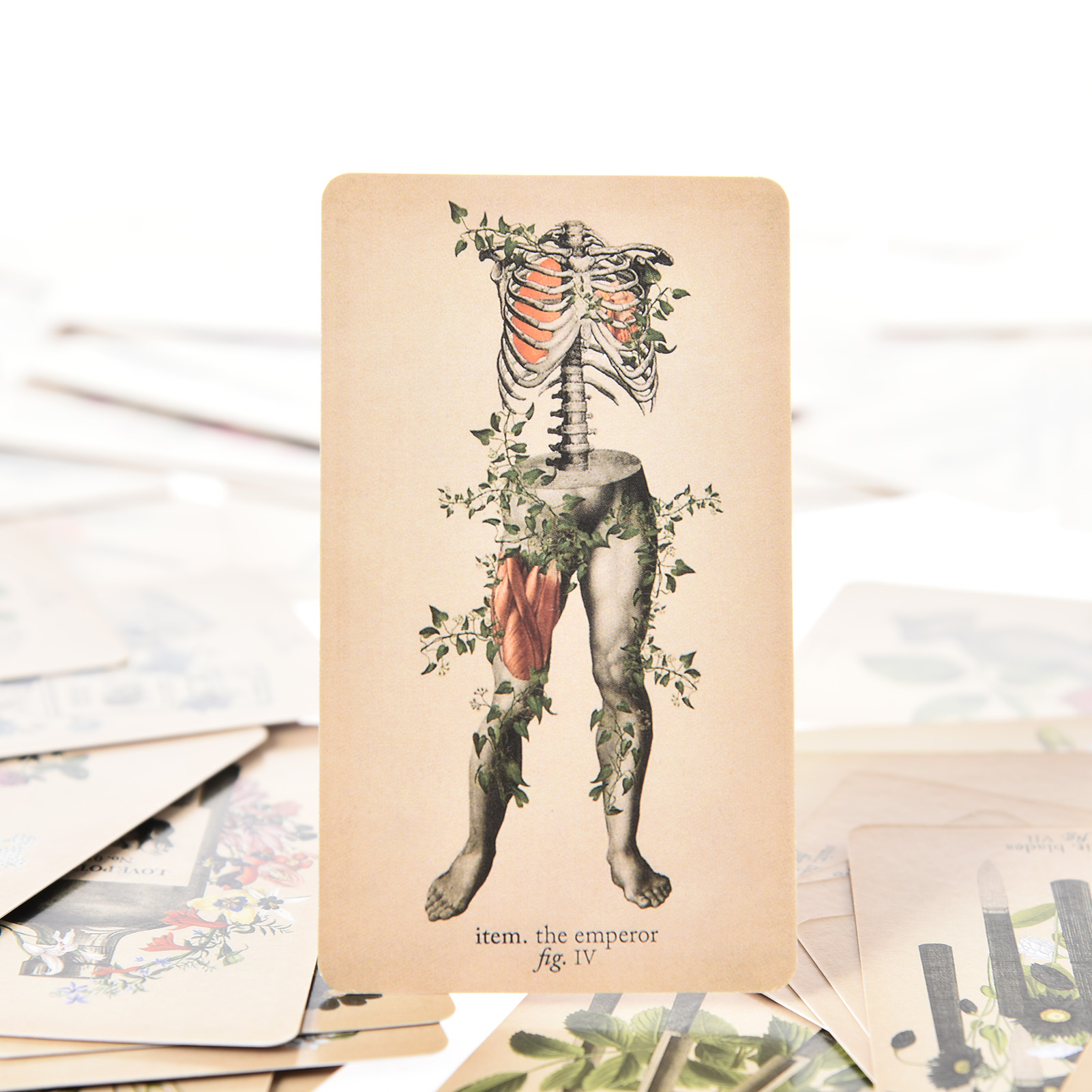 Las Cartas del Tarot de Anatom - Tarot Deck With Guidebook reseña y precio